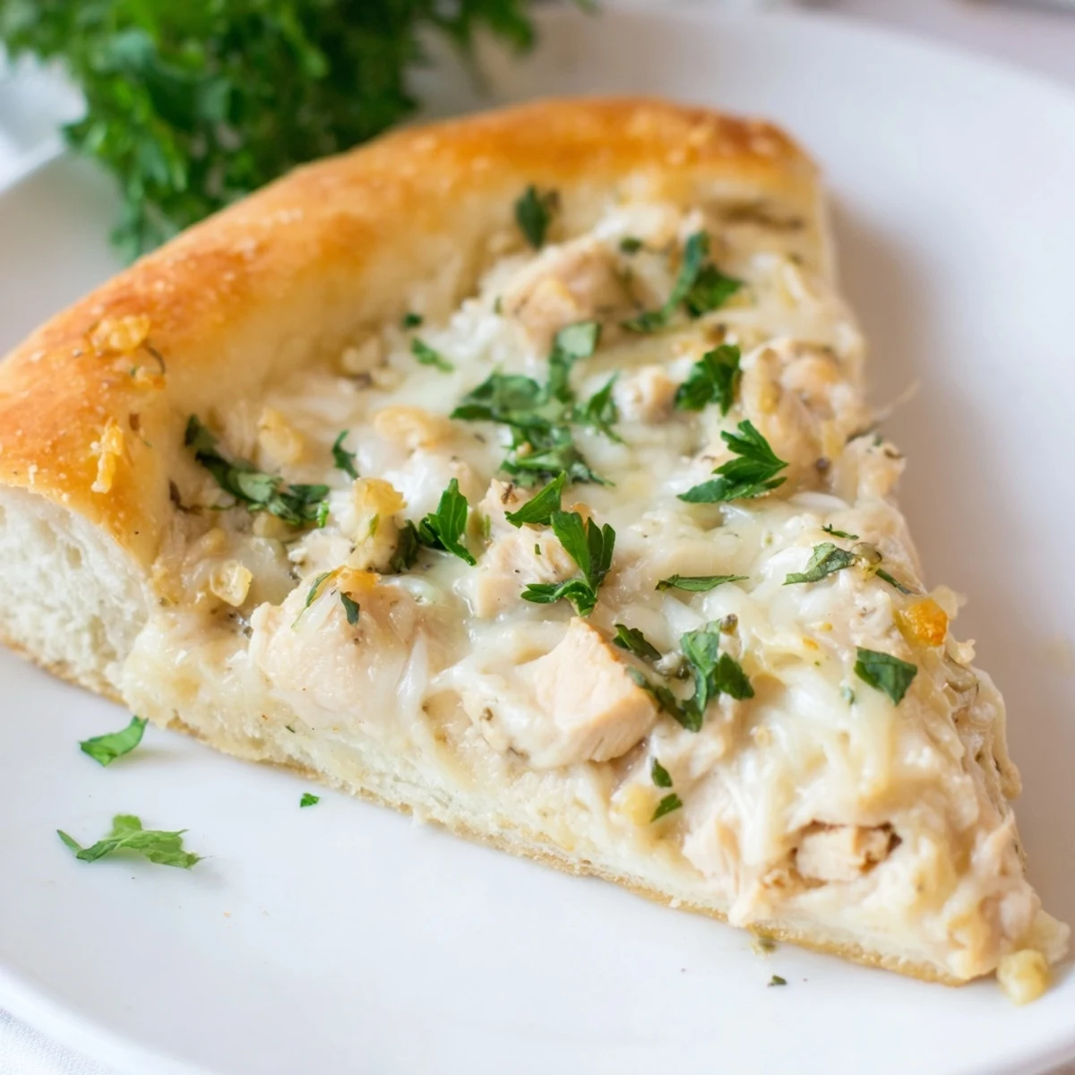Close-up of golden-brown Chicken Alfredo Pizza fresh from the oven, topped with melted mozzarella and savory chicken.
